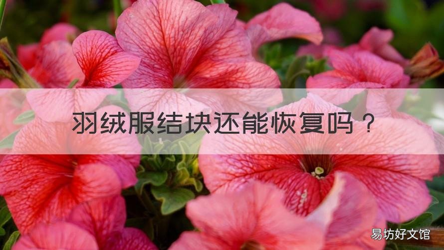 羽绒服结块还能恢复吗 羽绒结块还能要吗