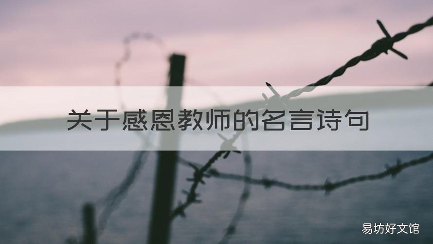 关于感恩教师的名言诗句 关于感恩教师的名言诗句有哪些