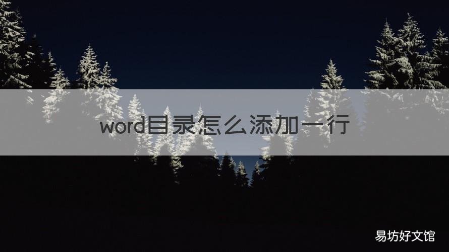 word目录怎么添加一行 word目录怎么添加一行表格