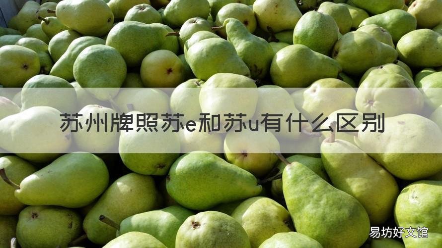 苏州牌照苏e和苏u有什么区别 苏州有苏e苏u两种牌照