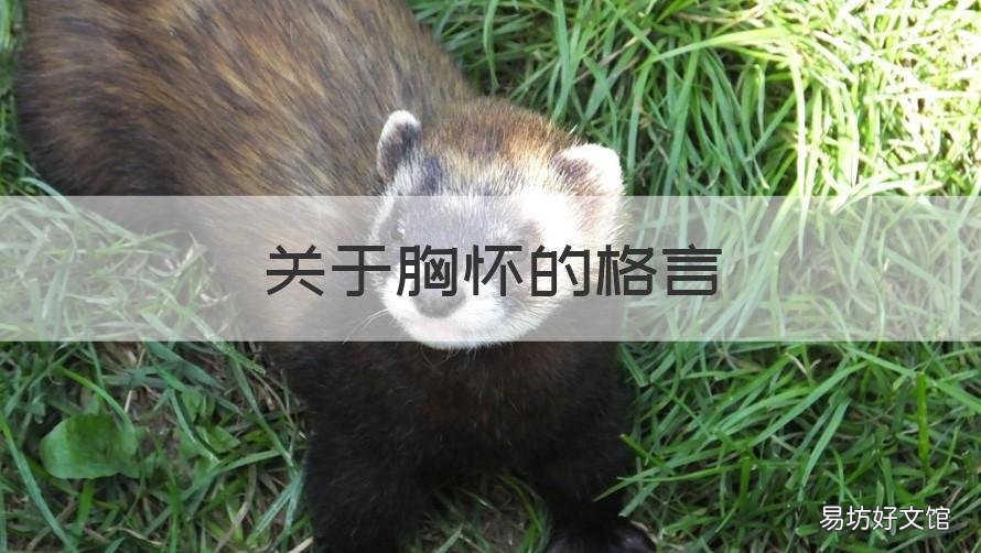 关于胸怀的格言 关于胸怀的格言有哪些