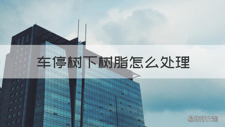 车停树下树脂怎么处理 车停在树下怎么防止树脂
