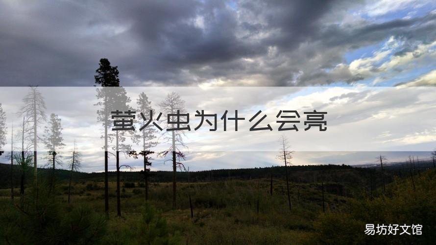 萤火虫为什么会亮 萤火虫怎么会发亮