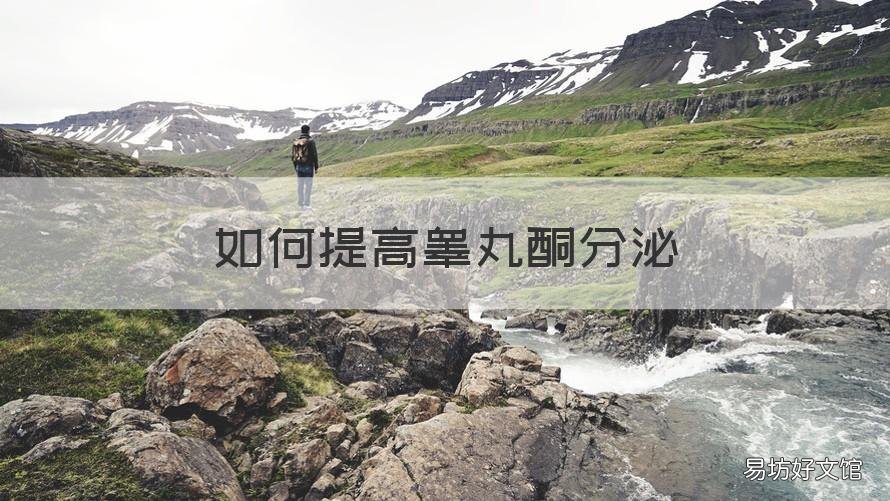 如何提高睾丸酮分泌 如何提高睾丸酮的分泌