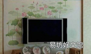 客厅电视墙前养什么花好 客厅电视旁养什么花好