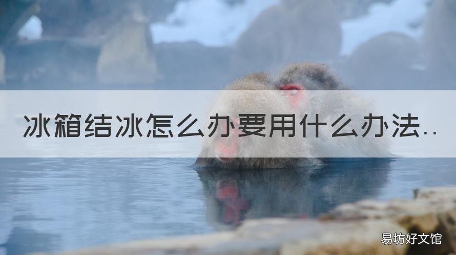 冰箱结冰怎么办要用什么办法 冰箱结冰如何办