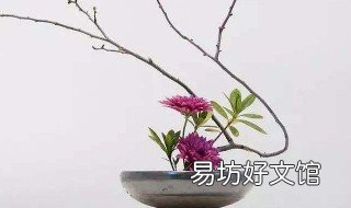 梅如何修剪成型 梅花的修剪技术