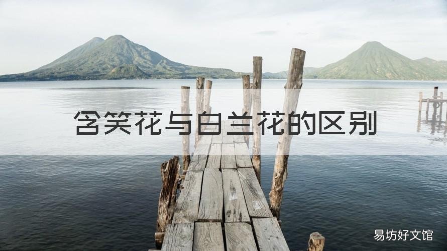 含笑花与白兰花的区别 白玉兰和含笑一种花吗