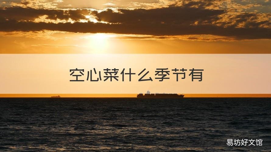 空心菜什么季节有 空心菜的季节是什么时候