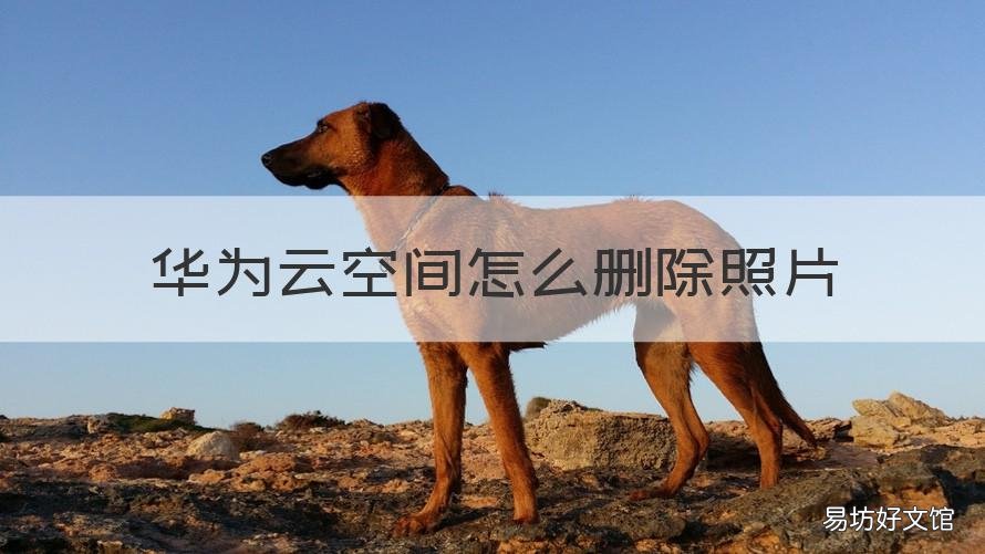 华为云空间怎么删除照片 华为云空间怎么删除照片记录