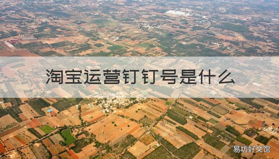 淘宝运营钉钉号是什么 淘宝运营钉钉号是什么名字