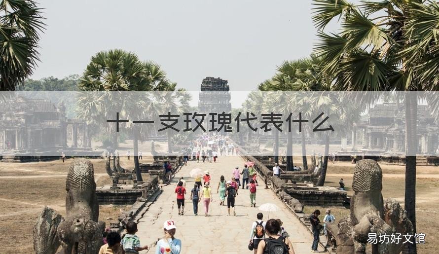 十一支玫瑰代表什么 11支玫瑰什么寓意