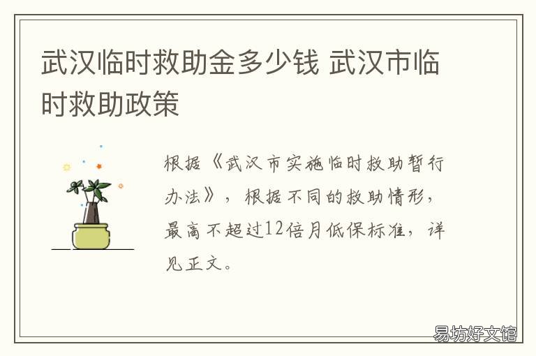 武汉临时救助金多少钱 武汉市临时救助政策