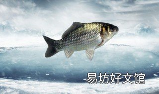 冬季钓鲫鱼调几目最佳 冬季钓鲫鱼调几目钓几目