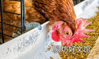 浓缩鸡饲料配方 浓缩鸡饲料配方大全
