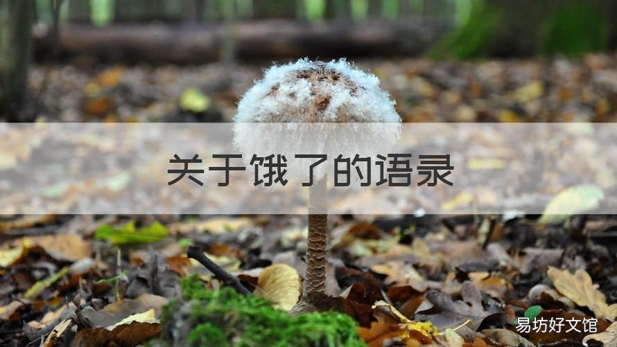 关于饿了的语录 饿了么外卖语录