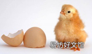 鸡头稳定原理 鸡头稳定原理叫什么