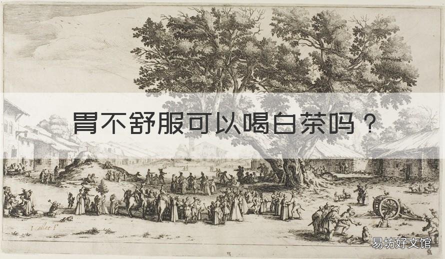 胃不舒服可以喝白茶吗 胃不舒服喝白茶好吗