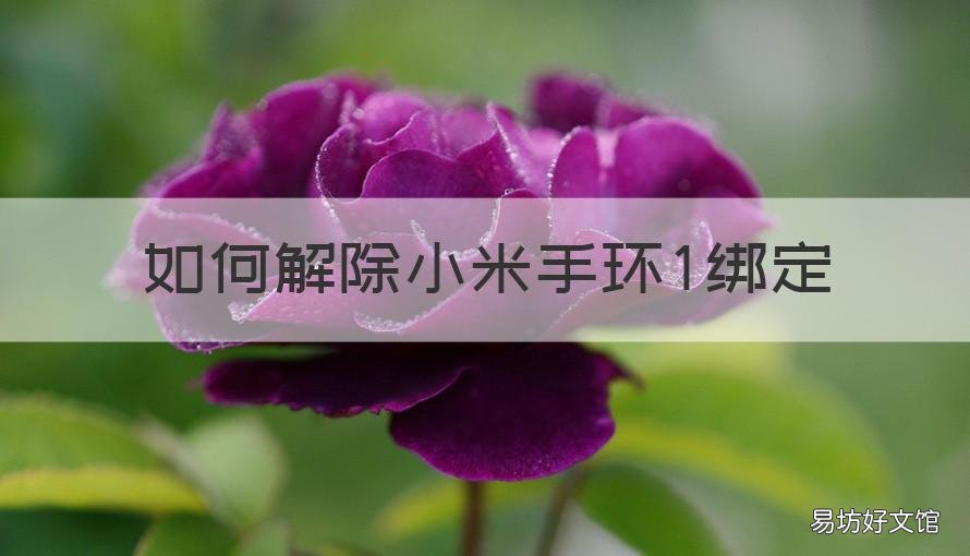 如何解除小米手环1绑定 怎么解除小米手环绑定