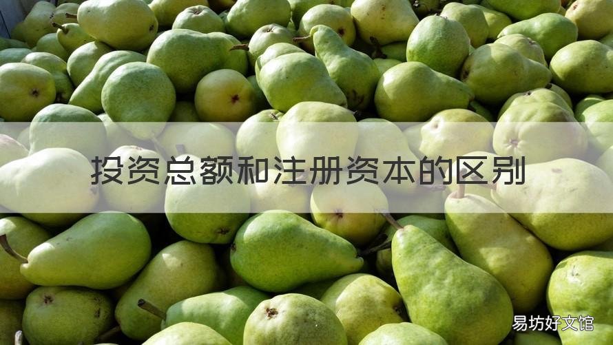 投资总额和注册资本的区别 投资总额与注册资本的区别