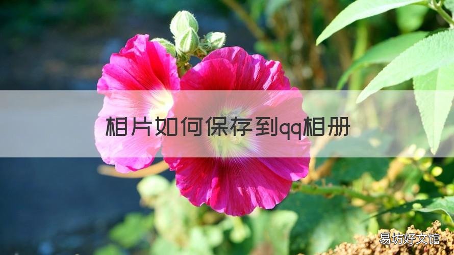 相片如何保存到qq相册 相片如何保存到qq相册里