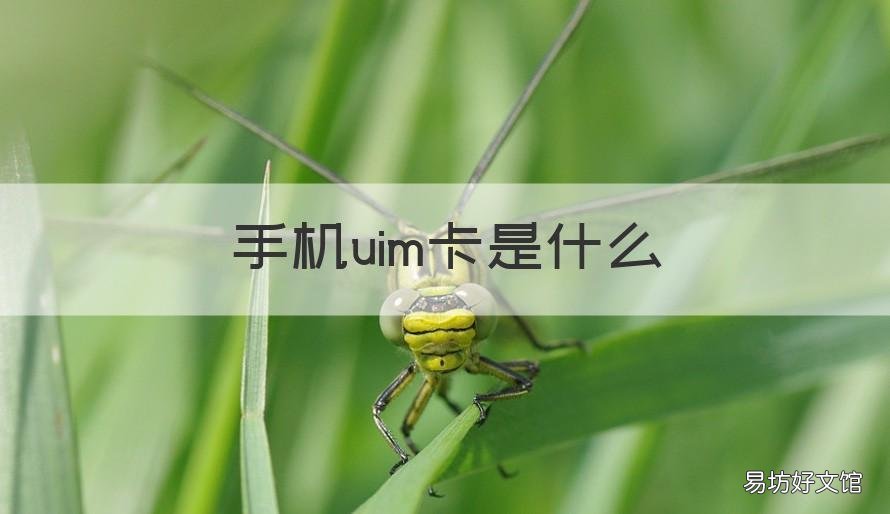手机uim卡是什么 Uim卡是什么