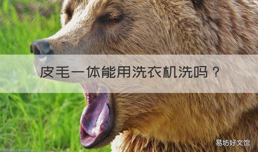 皮毛一体能用洗衣机洗吗 皮毛一体可以用洗衣机吗