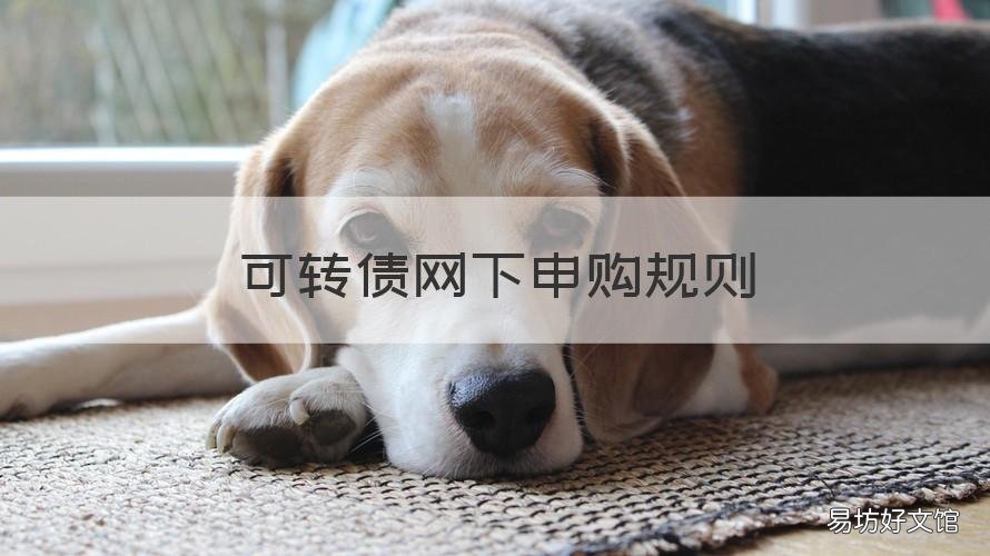 可转债网下申购规则 可转债公司债券网上申购业务规则