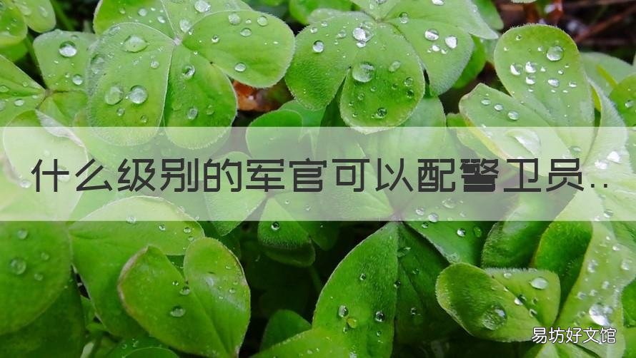 什么级别的军官可以配警卫员 部队什么级别可以配警卫员