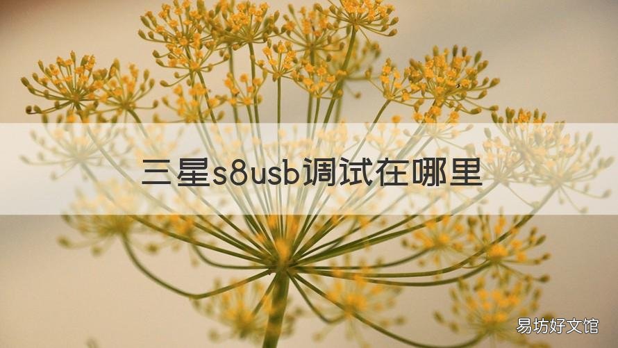 三星s8usb调试在哪里 三星s8usb调试连接不到电脑