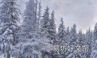 一夜之间就冷了说说 一夜就冷了的说说