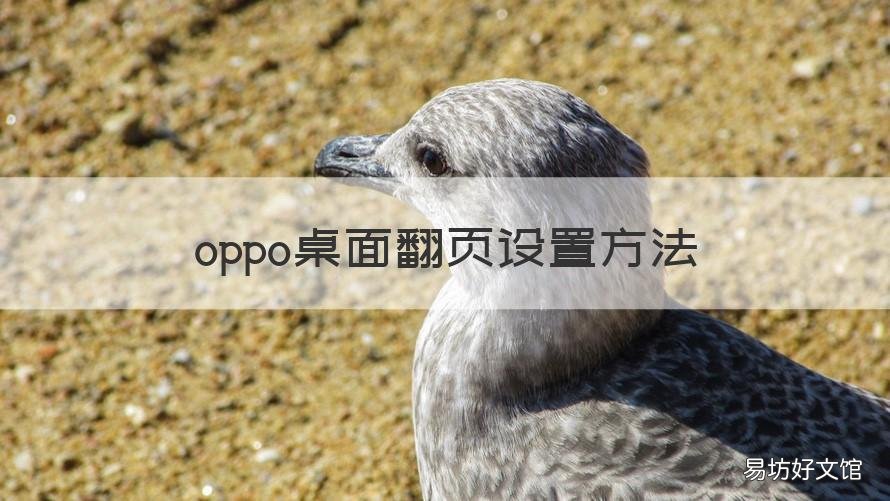 oppo桌面翻页设置方法 oppo手机桌面翻页设置在哪里设置