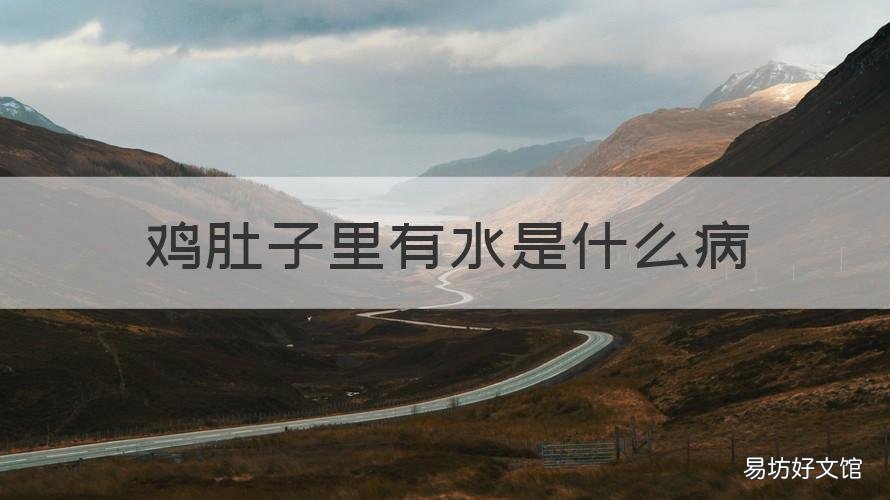 鸡肚子里有水是什么病 鸡肚子里有水是什么病图片