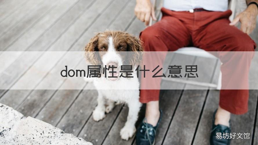 dom属性是什么意思 DOM含义