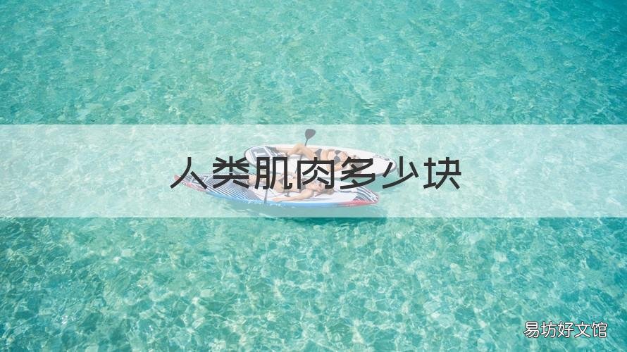 人类肌肉多少块