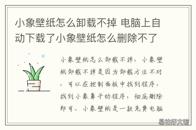 小象壁纸怎么卸载不掉 小象壁纸为何在电脑上删除不了却在右键