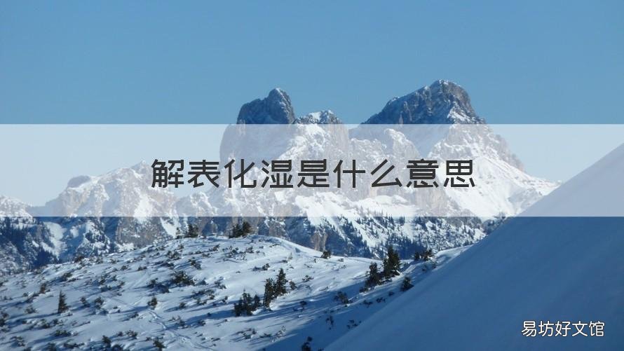 解表化湿是什么意思 解表化湿是什么意思机器恐龙机器恐龙。机器恐龙
