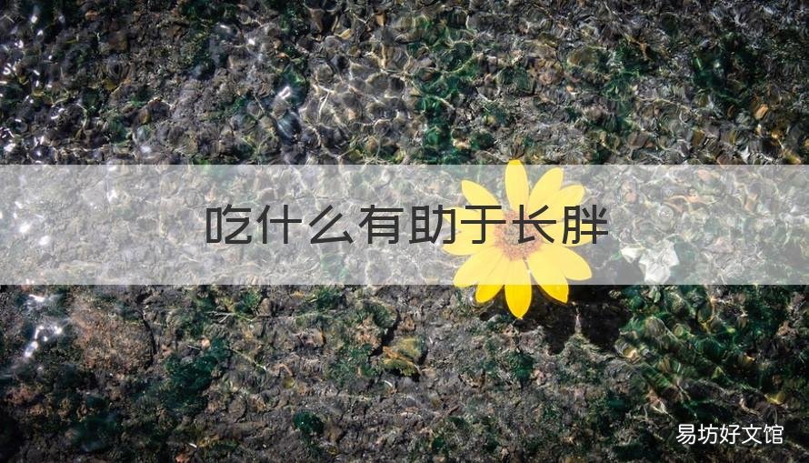 吃什么有助于长胖 吃什么能够增胖