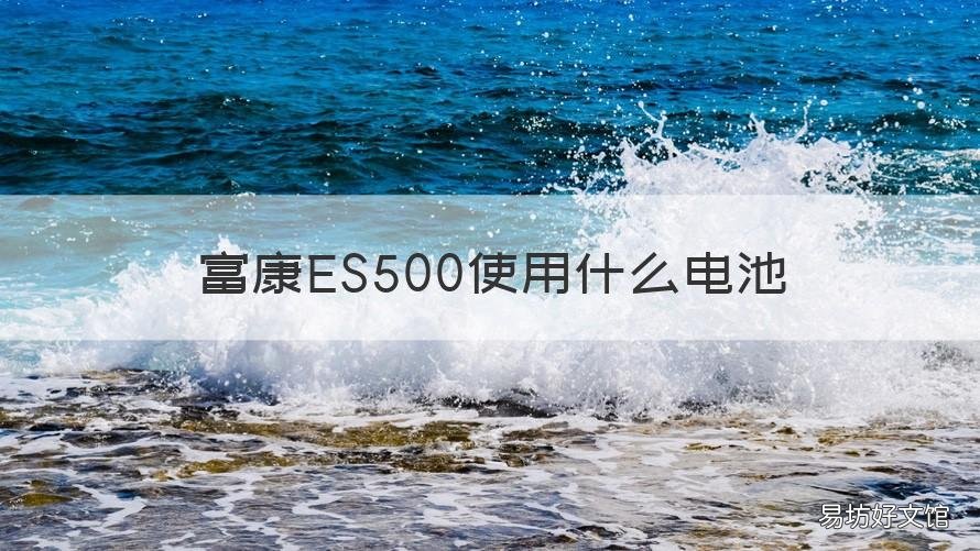 富康ES500使用什么电池 富康es500使用什么电池好