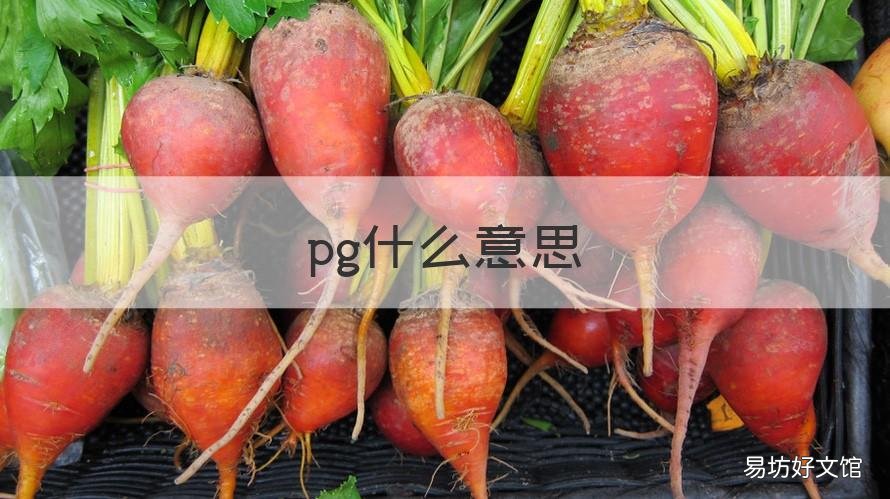 pg什么意思 pg什么意思网络上