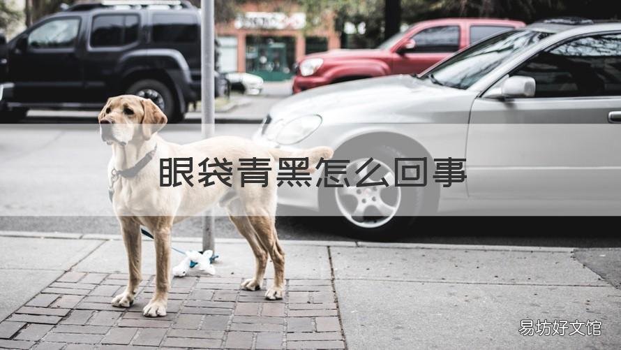 眼袋青黑怎么回事 眼袋青黑怎么回事啊