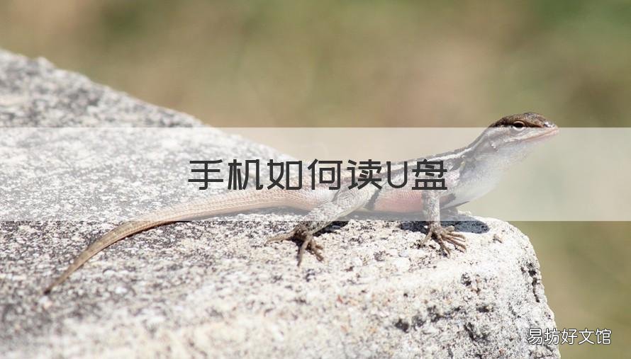 手机如何读U盘 手机如何读U盘 百度网盘