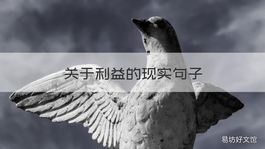 关于利益的现实句子 有关于利益的句子