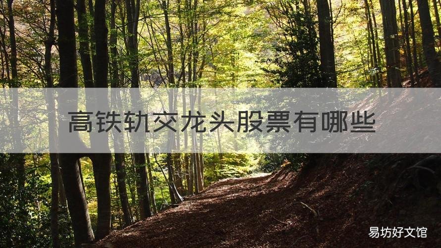 高铁轨交龙头股票有哪些 铁路的龙头股有哪些