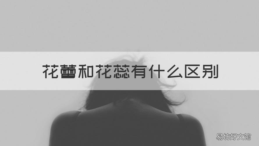 花蕾和花蕊有什么区别 花蕾和花蕊有什么区别呢