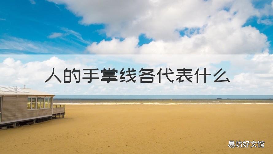 人的手掌线各代表什么 手掌中的线代表什么意思?