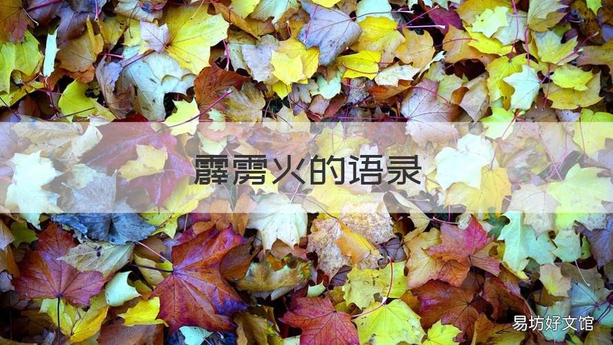 霹雳火的语录 霹雳经典台词最全