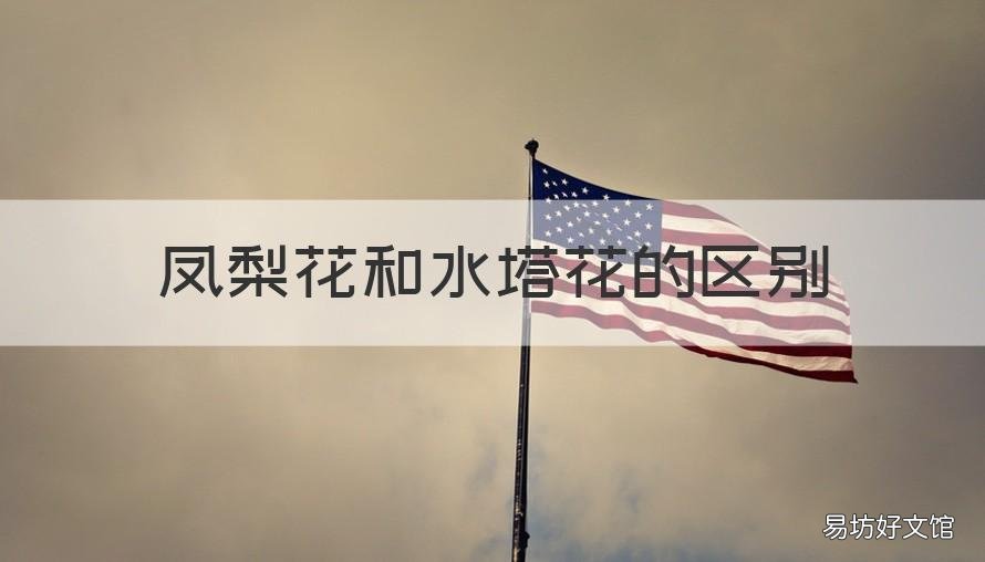 凤梨花和水塔花的区别 水塔花与凤梨的区别
