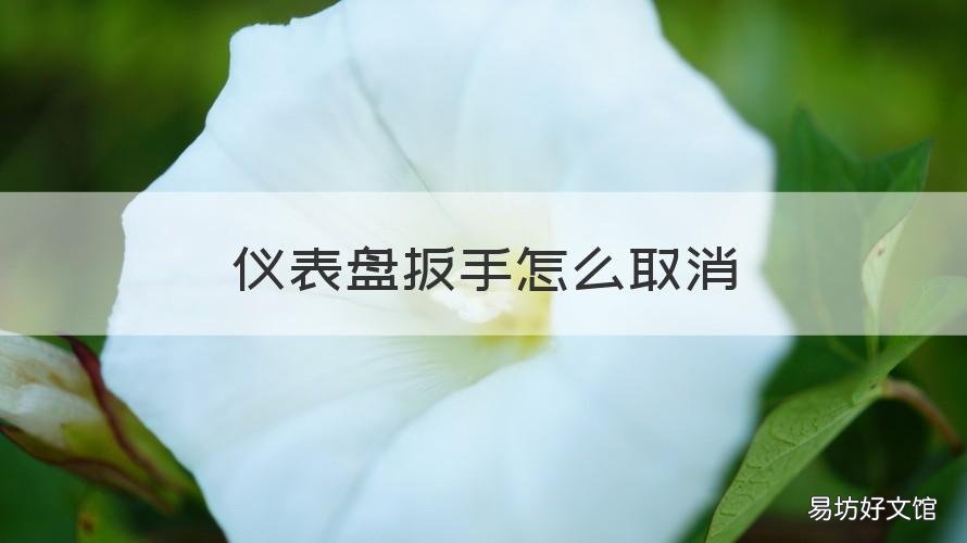 仪表盘扳手怎么取消 怎么取消仪表盘上的扳手