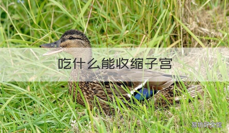 吃什么能收缩子宫 吃什么收缩子宫的